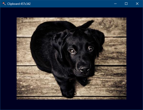 ImageViewer